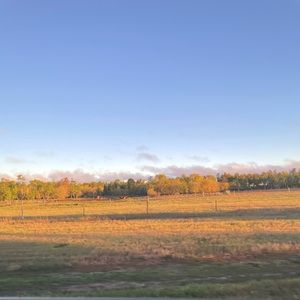 Meet your Posher, Owen